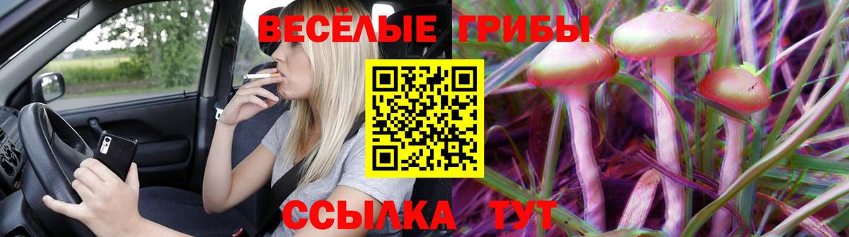 Галлюциногенные грибы мухоморы  Галлюциногенные грибы Psilocybe  Чернушка  Вход с VPN 