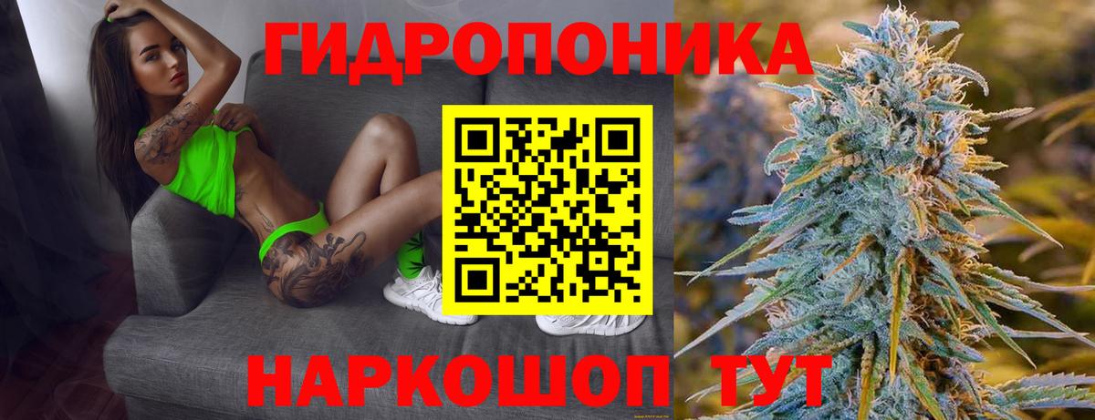 Канабис гибрид  Вход с VPN  Шишки марихуана гибрид  Чернушка  Шишки марихуана Ganja 