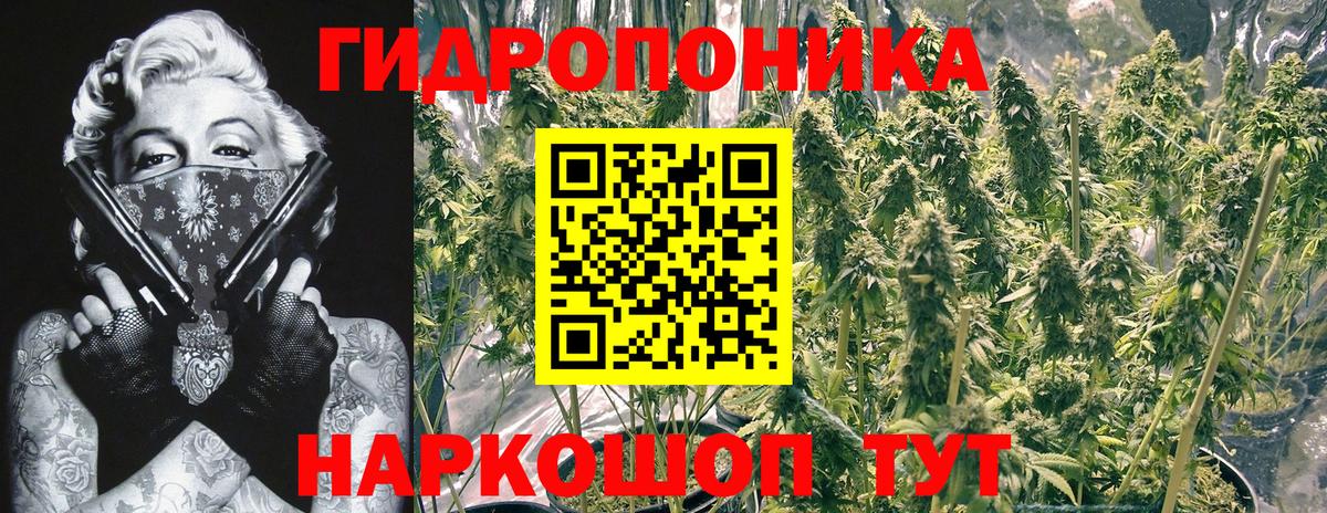 МАРИХУАНА гибрид Чернушка